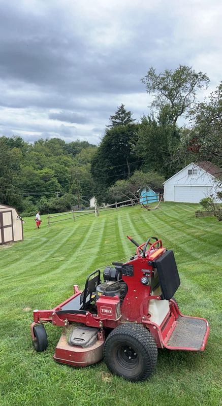 Lawn Maintenance
