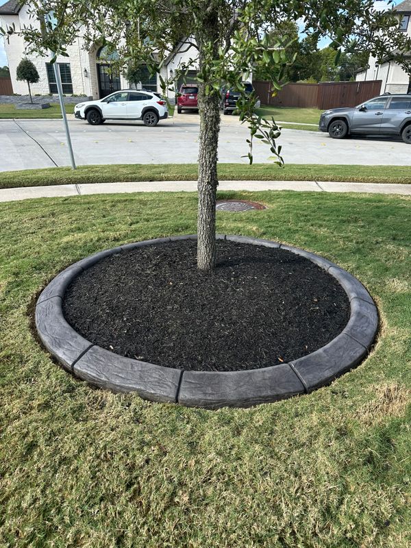 Landscape Border Systems