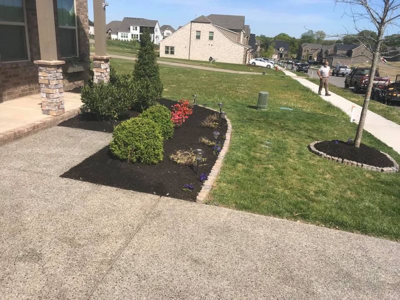 Lawn Maintenance