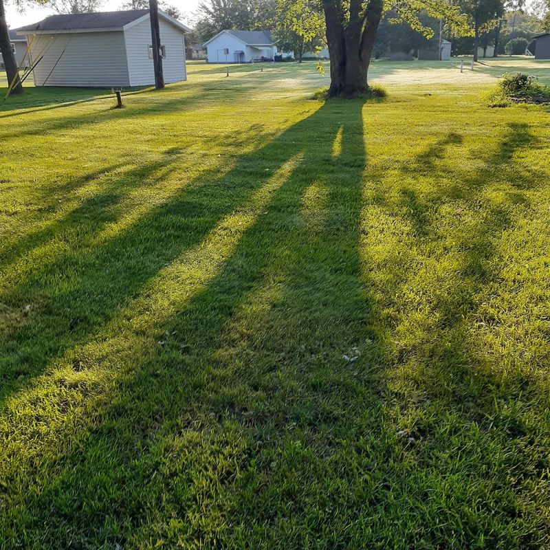 Lawn Maintenance