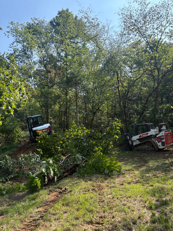 Tree Services