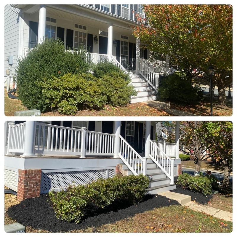 Shrub Trimming