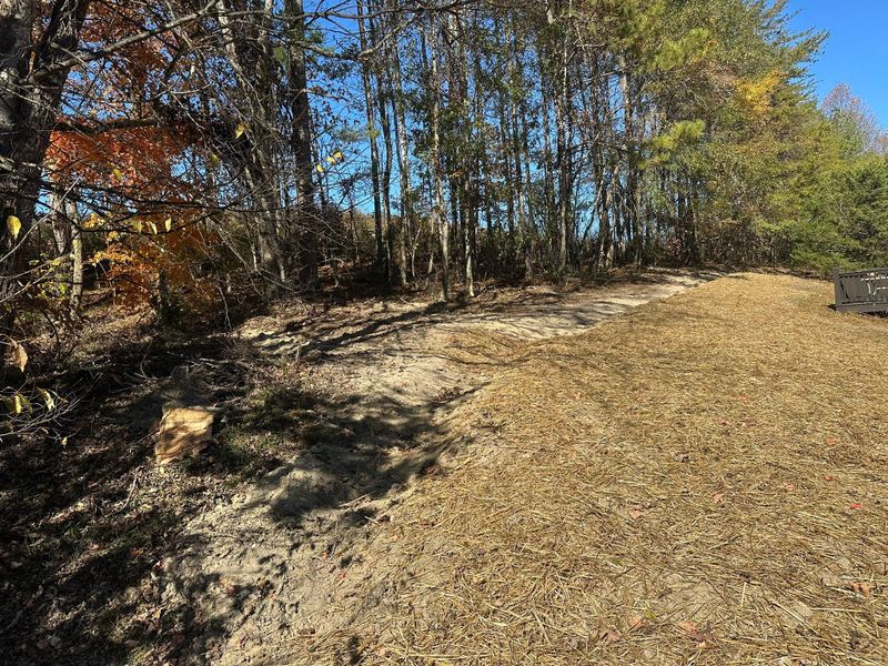 Site Preparation