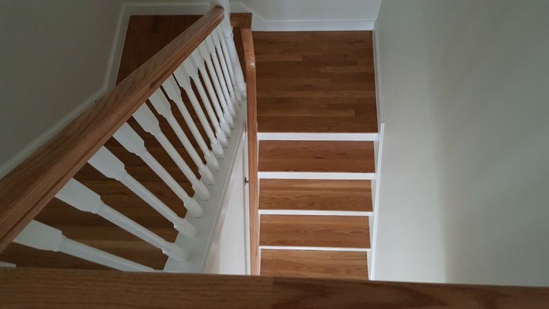 Our Work