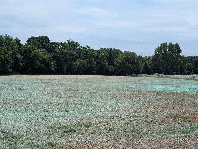 Hydroseeding