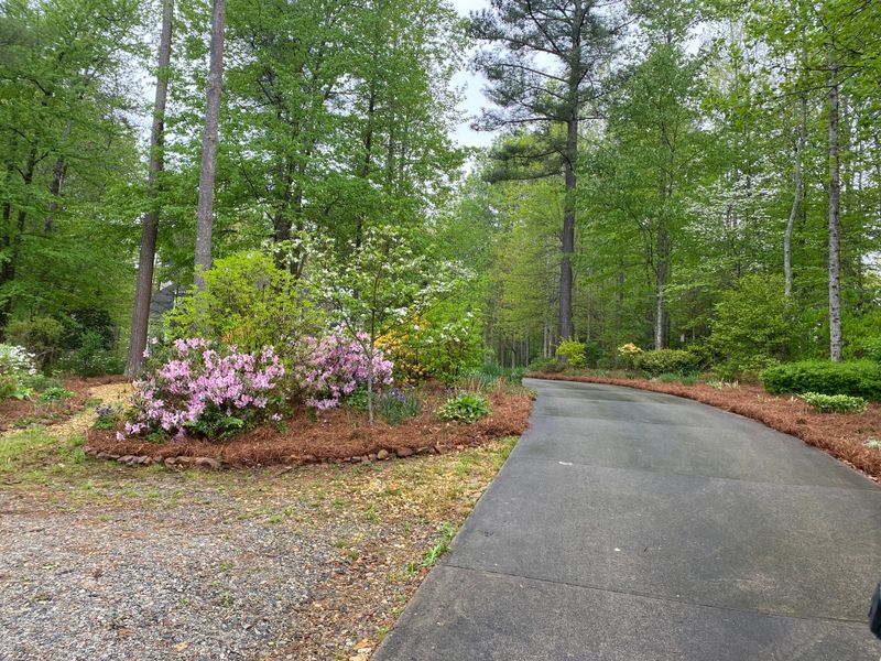 Ground covers