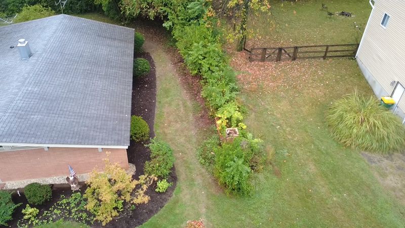 Transformation: Brush Clearing & Lawn Resurfacing — Echo Hill Lane