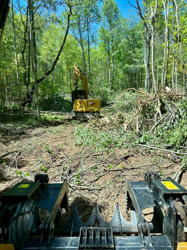 Land Clearing
