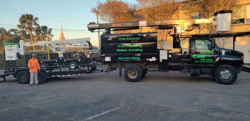 Tree Services