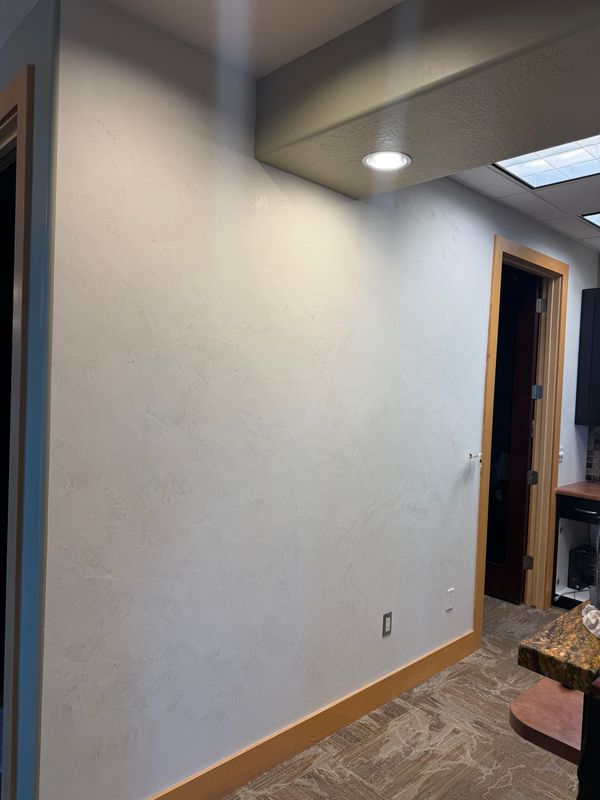 Venetian Plaster