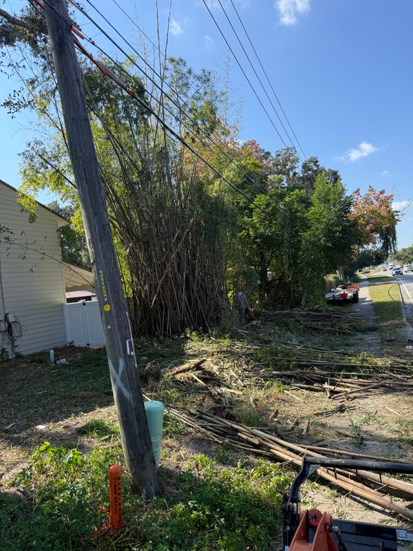 Land Clearing