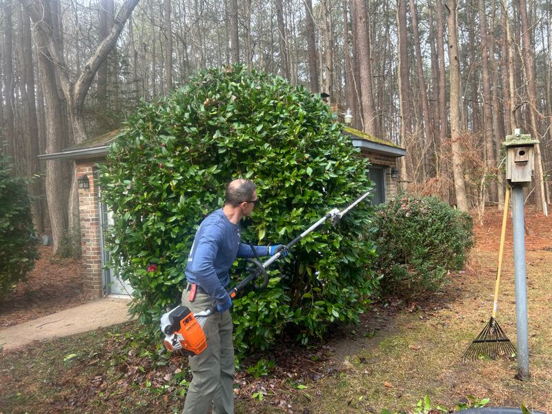 Shrub & Plant Trimming 