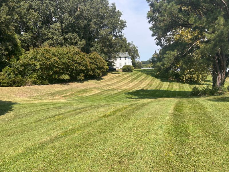 Mowing gallery