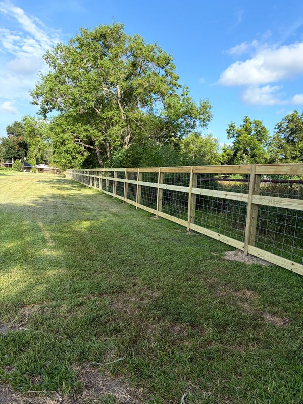Lawn Maintenance