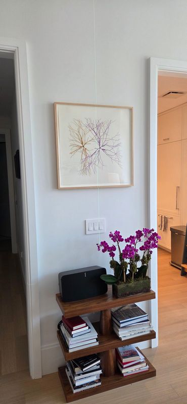 Picture hanging and Art installation