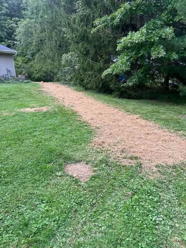 Grading and Earth Moving