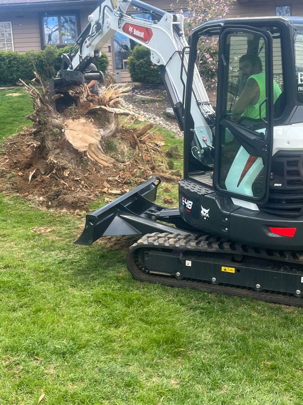 Tree Removal gallery