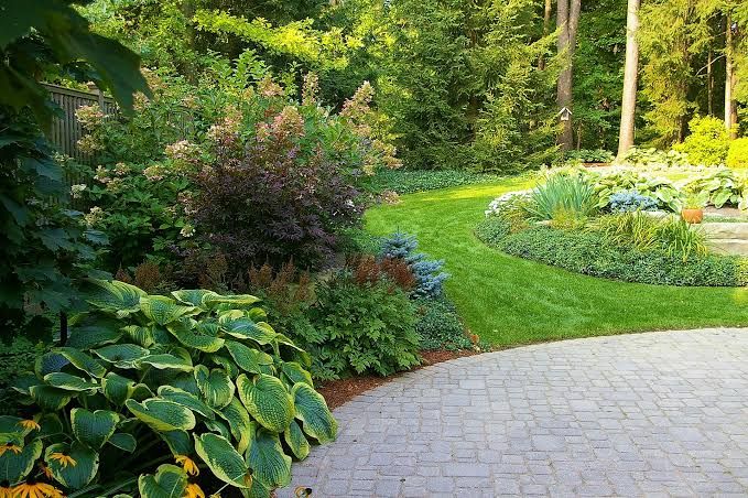 Landscape Design