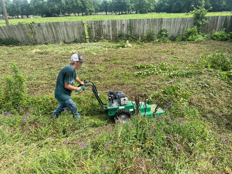 Lawn and Yard Maintenance