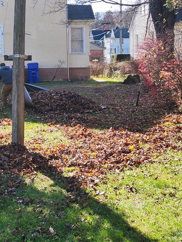 Fall Cleanups