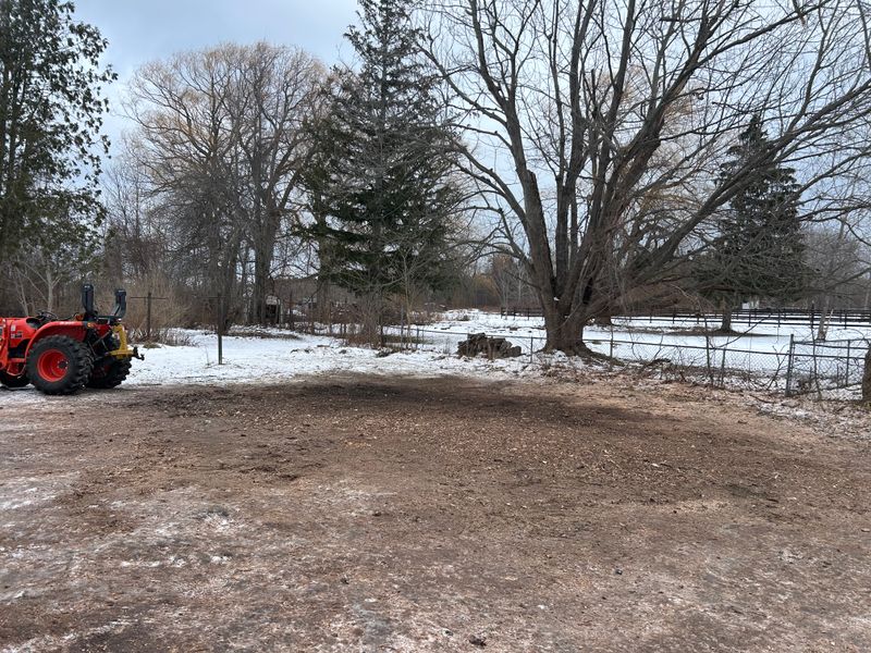Stump Removal