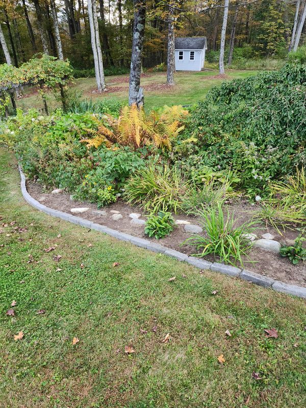 Muclhing & Weeding