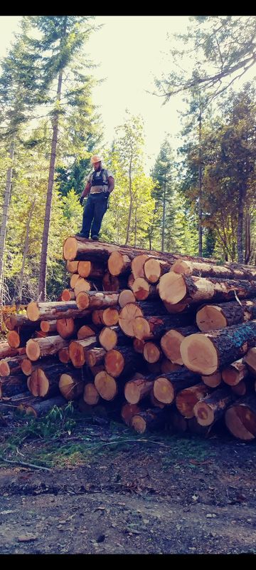 Small Scale Logging