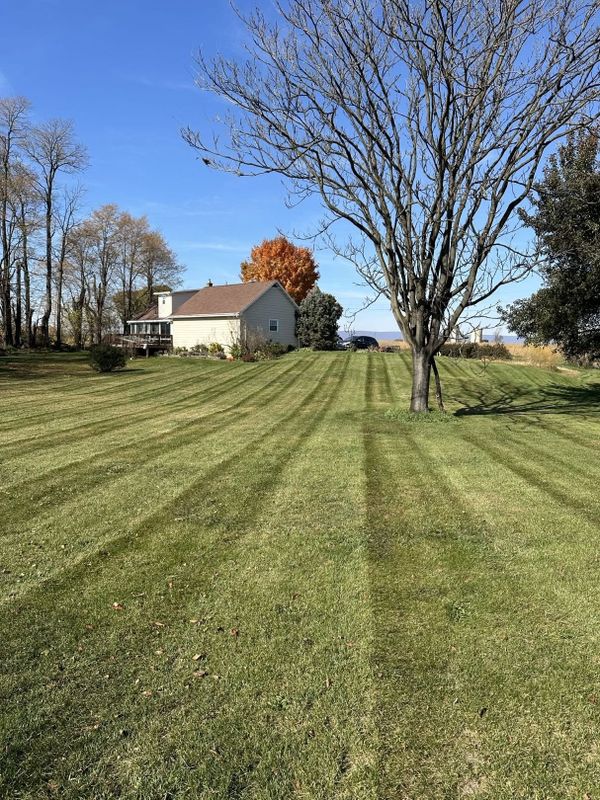 Lawn Maintenance