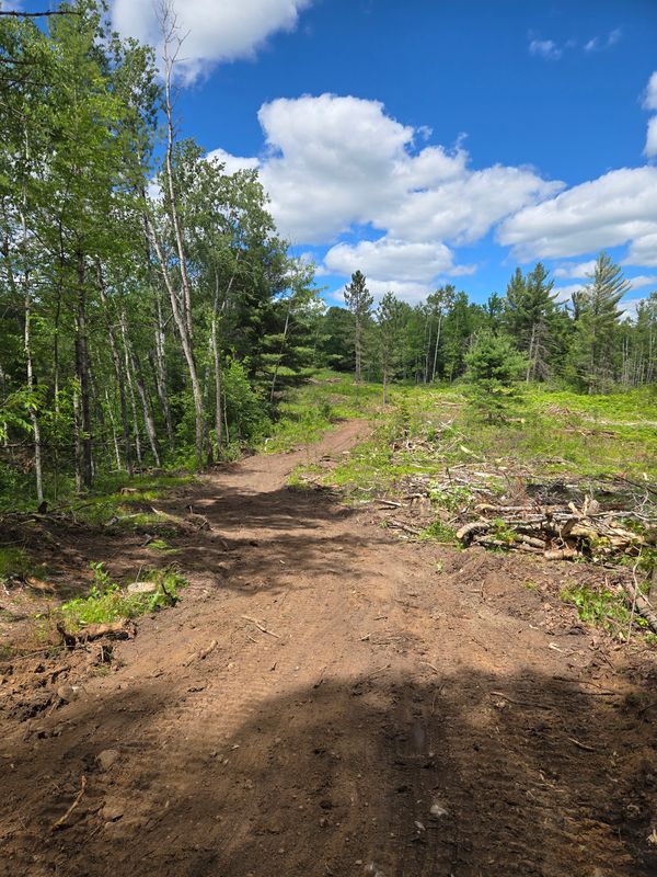 Road Building