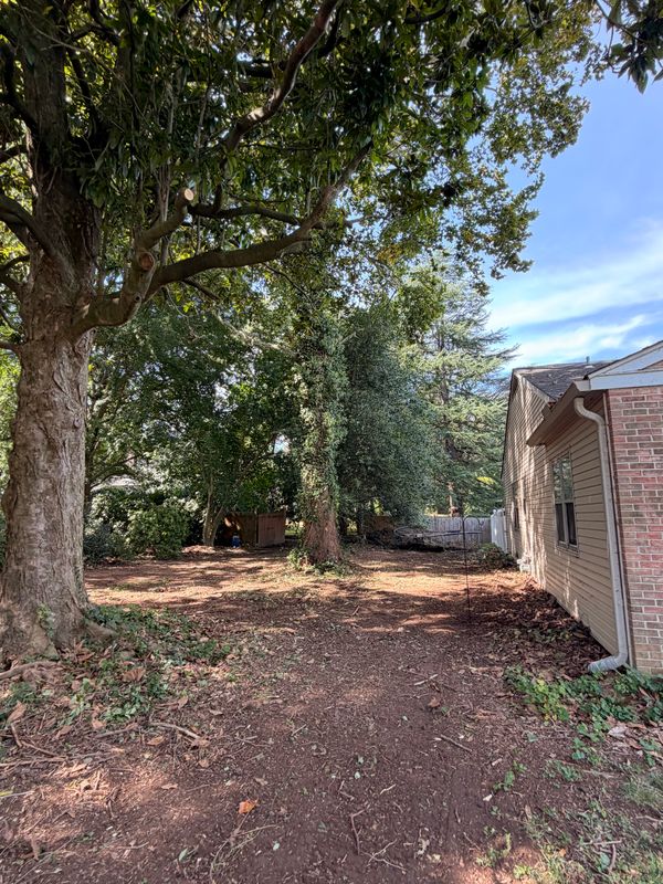 Tree Trimming
