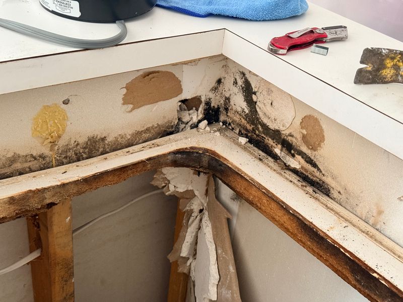 Mold Remediation