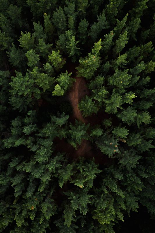 Drone Videography