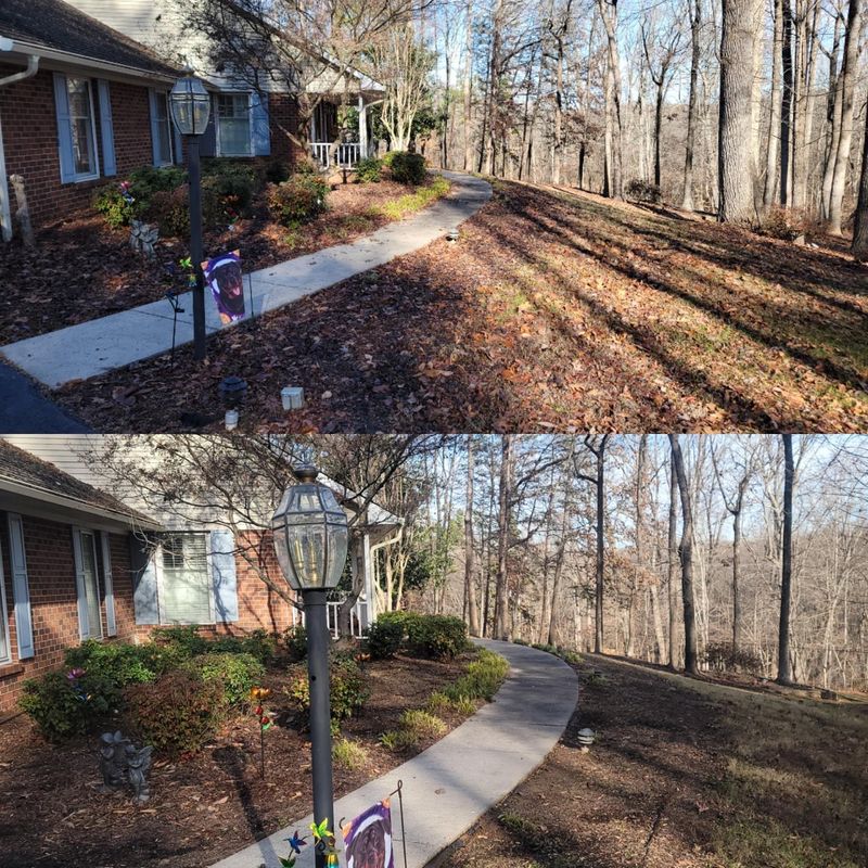 Before and After