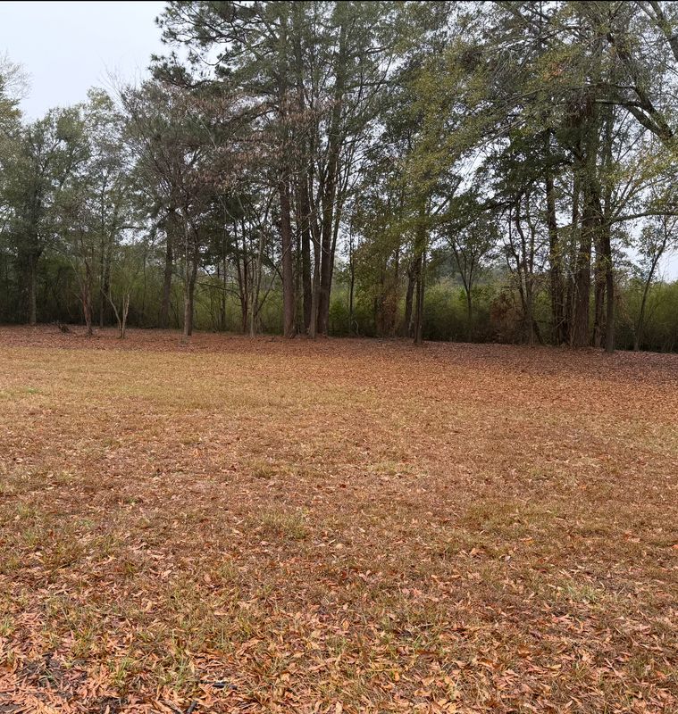 Land Clearing