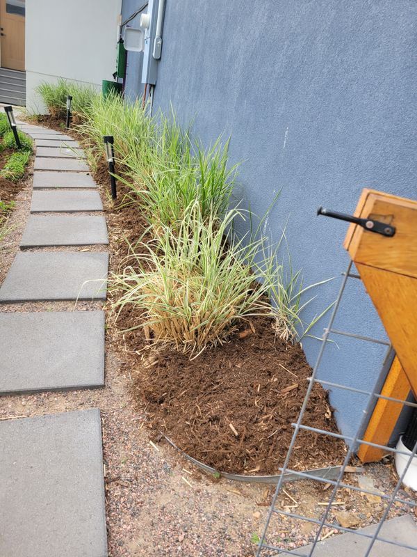 Mulch Installation