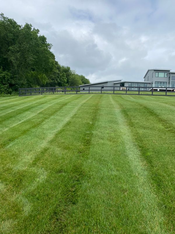 Mowing
