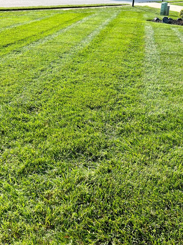 Fertilization and Weed Control Programs