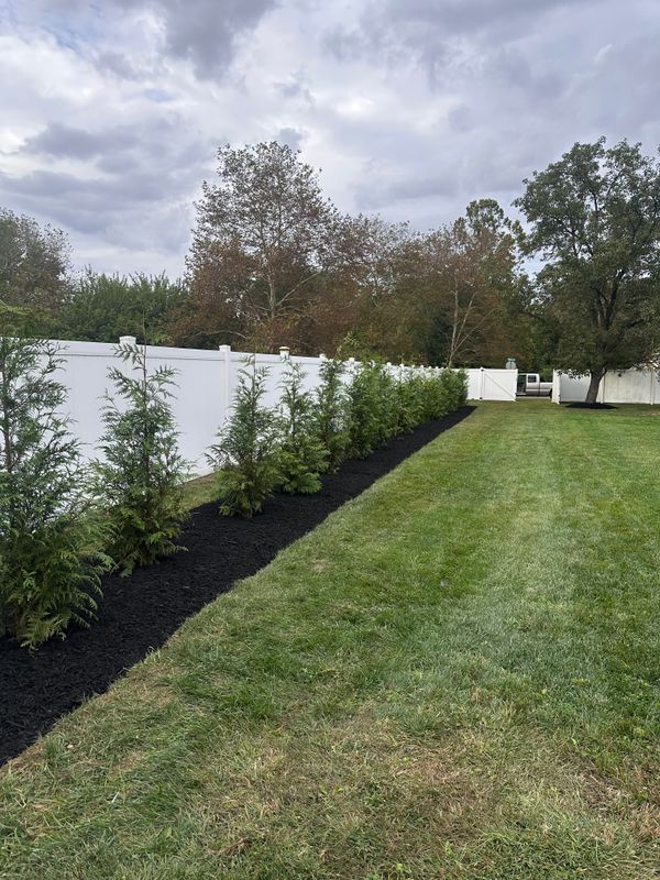 Tree & Perennial Planting