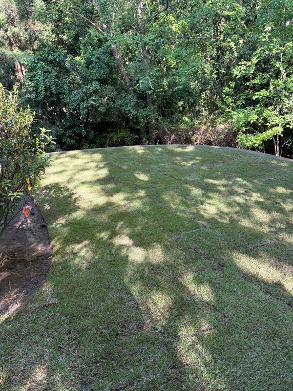 Landscape Design