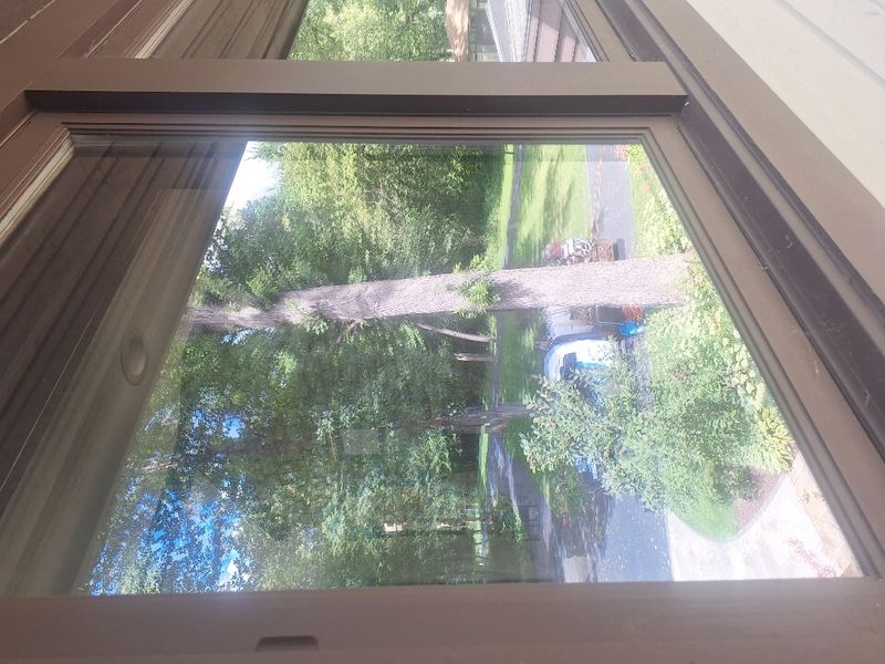 Punctual Perfection: Transforming Surfaces with Expert Exterior Window Cleaning