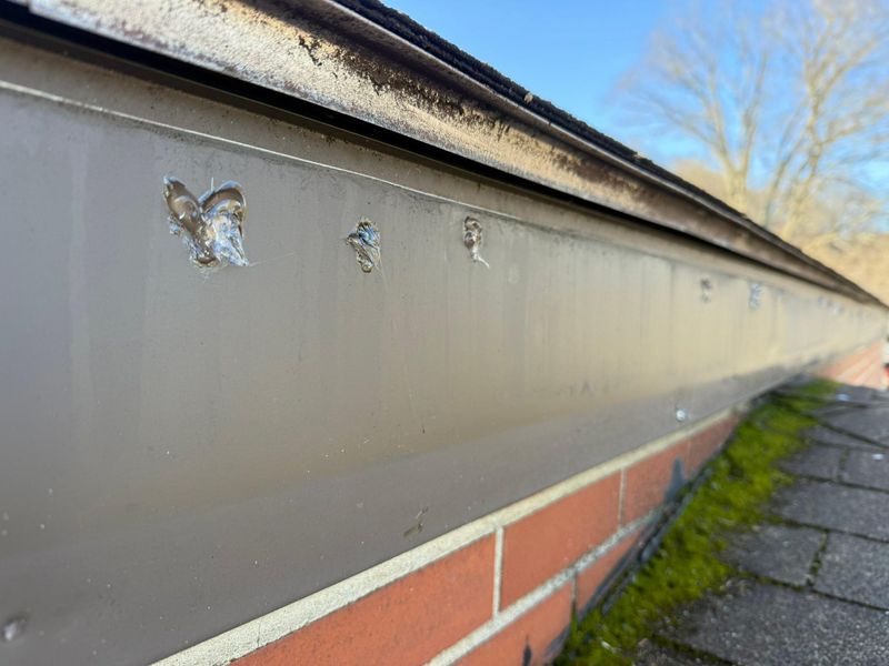 Gutter Maintenance