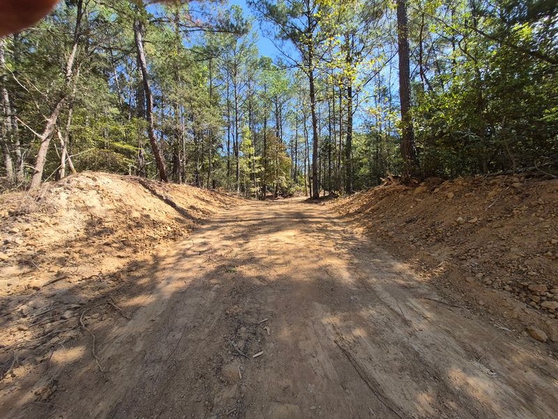 Transforming Terrain: Comprehensive Land Clearing and Grading