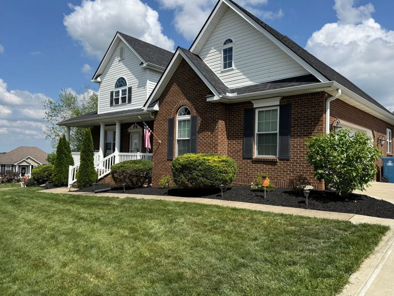 Tree and Shrub Care