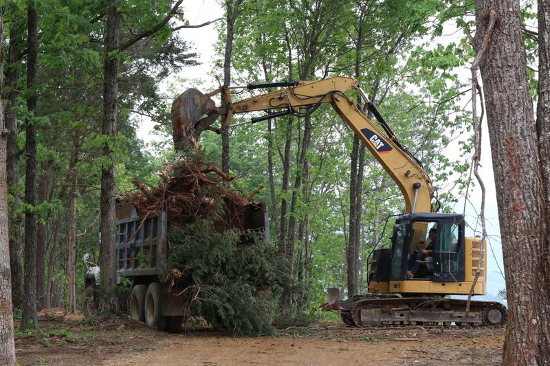 Land Clearing