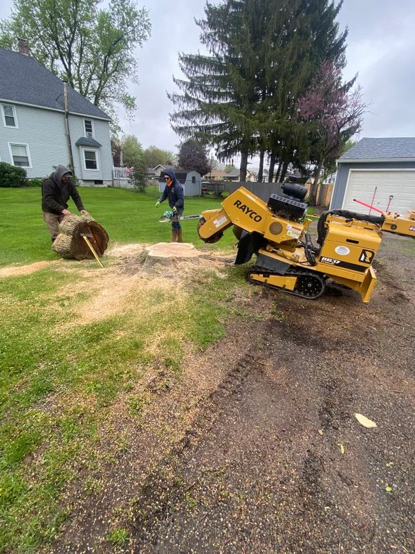 Stump grinding 