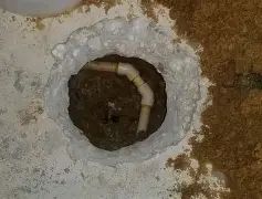 Pristine Slab Leak Repair