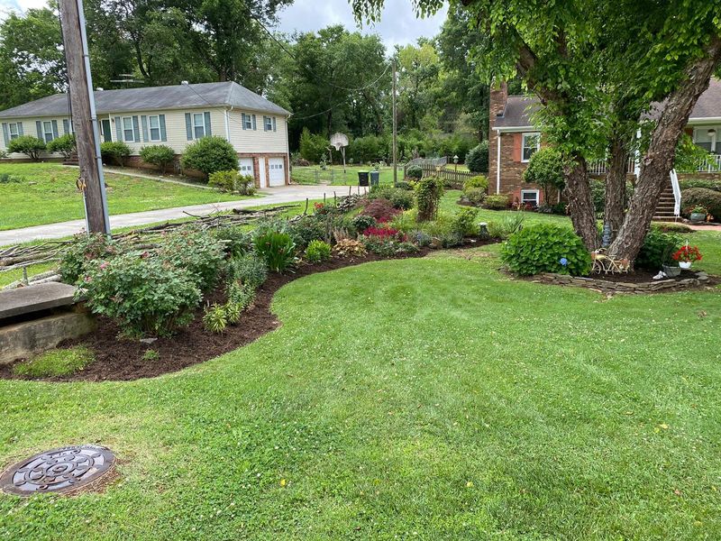 Landscape Design & Installation