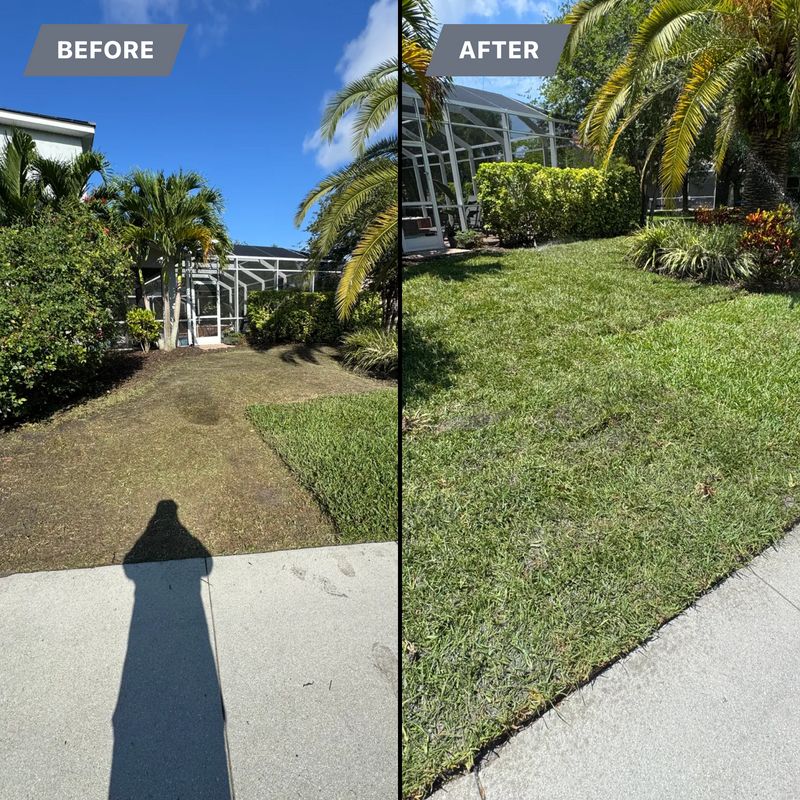 Sod installation