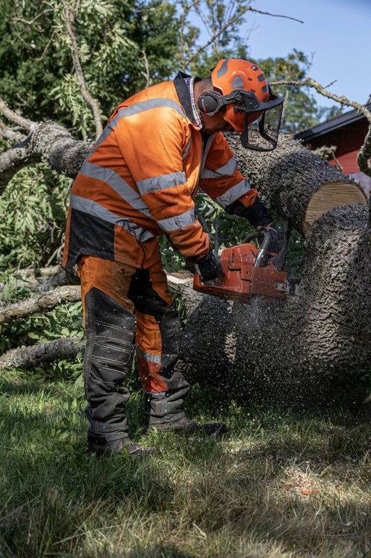 Tree and Shrub Care