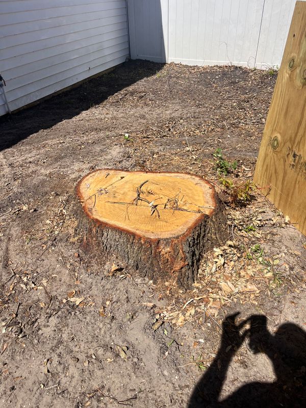 Stump Grinding